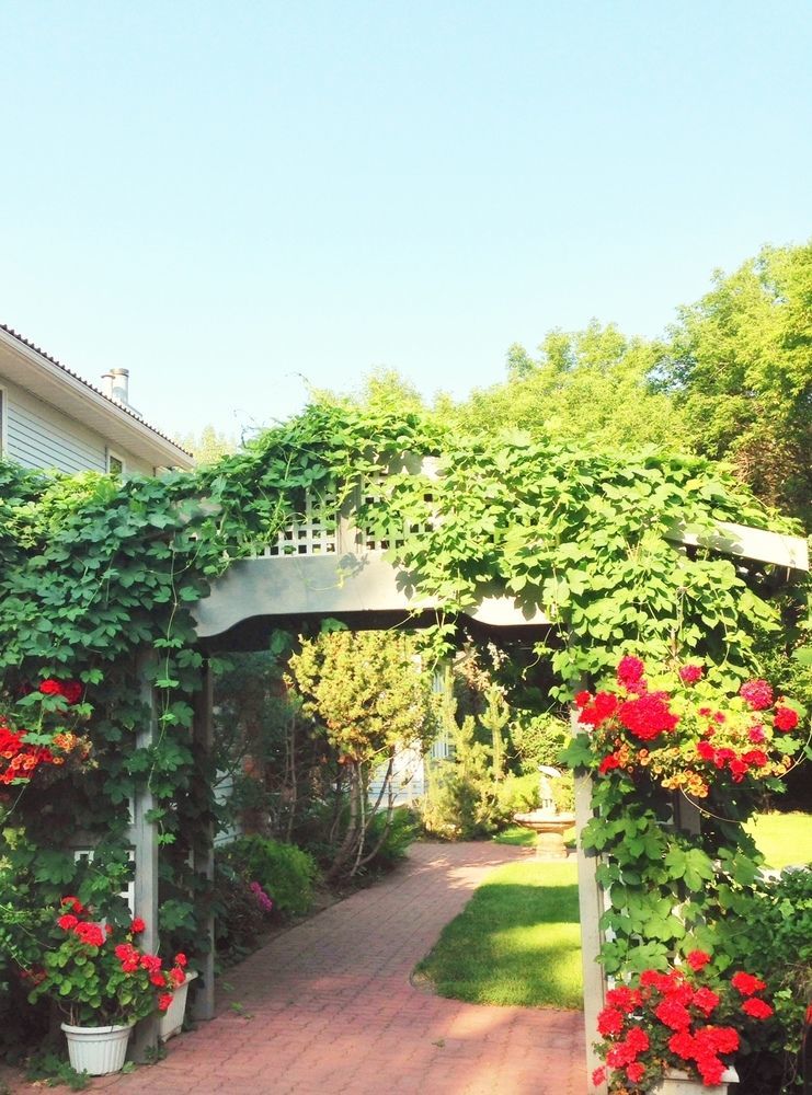 Mcdougall Lane Bed & Breakfast Drumheller Ngoại thất bức ảnh